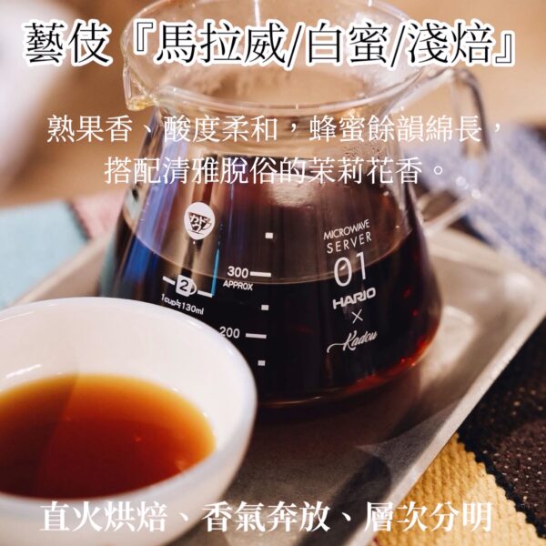 馬拉威/密蘇庫山脈/藝伎/白蜜處理：圖片 3