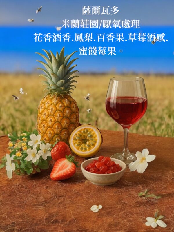 薩爾瓦多/米蘭莊園/厭氧處理：圖片 5