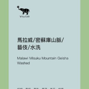 馬拉威/密蘇庫山脈/藝伎/水洗