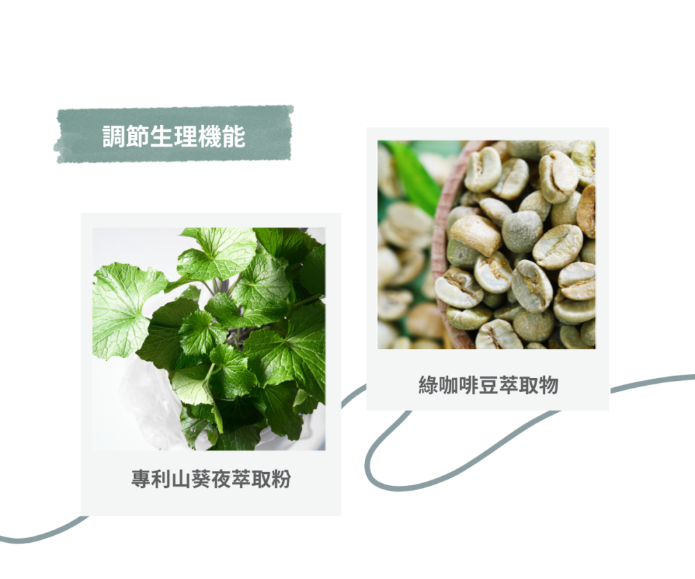 山葵舒孅然膠囊（30顆）：圖片 8