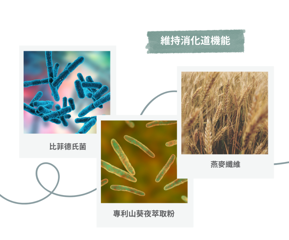 山葵舒孅然膠囊（30顆）：圖片 9