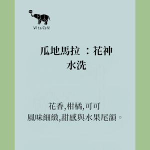瓜地馬拉/安提瓜/花神/水洗